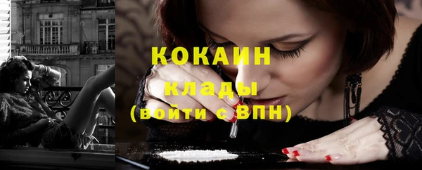 шишки Ладушкин