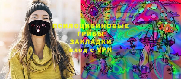 шишки Ладушкин