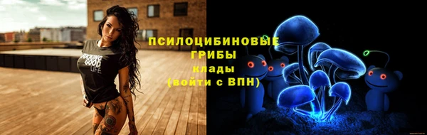 шишки Ладушкин