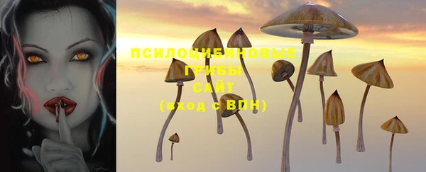 марки nbome Лагань