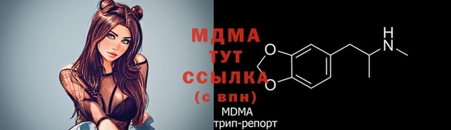 шишки Ладушкин