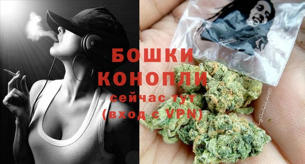 шишки Ладушкин