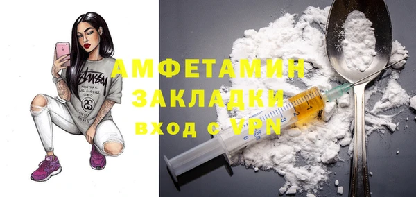 шишки Ладушкин