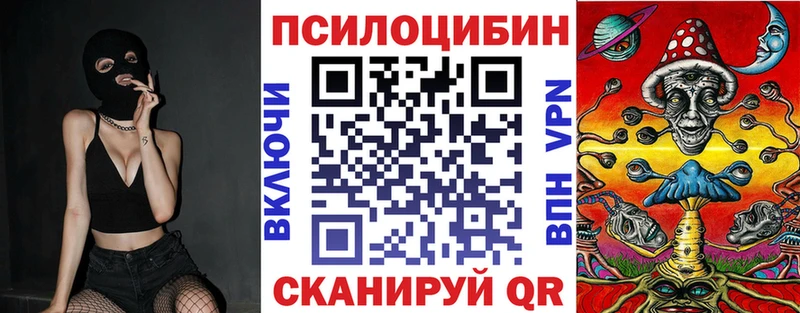 Галлюциногенные грибы Psilocybe  Южноуральск 
